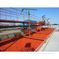 Tomato chilli paste ketchup sauce production